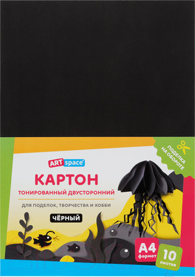 Набор цветного картона ArtSpace КТ1А4_38004 (10л, черный)