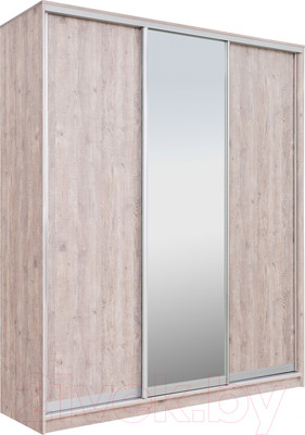 Шкаф-купе Рэйгрупп 203 SSX Elgon РГ-02.02 (сосна натуральная/хром)