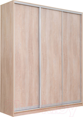 Шкаф-купе Рэйгрупп 203 TTX Elgon РГ-02.03 (дуб торонто/хром)