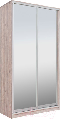 Шкаф-купе Рэйгрупп 138 SSX Elgon РГ-05.04 (сосна натуральная/хром)