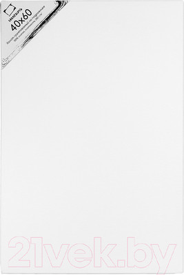 Холст для рисования Малевичъ На подрамнике / 234060 (40x60см, хлопок)