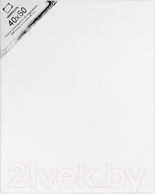 Холст для рисования Малевичъ На подрамнике / 234050 (40x50см, хлопок)