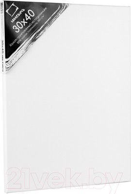 Холст для рисования Малевичъ На подрамнике / 213040 (30x40см, хлопок)