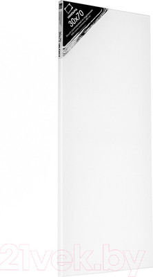 Холст для рисования Малевичъ На подрамнике / 213070 (30x70см, хлопок)