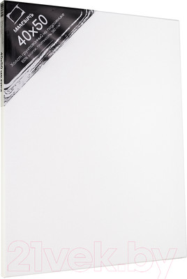 Холст для рисования Малевичъ На подрамнике / 214050 (40x50см, хлопок)