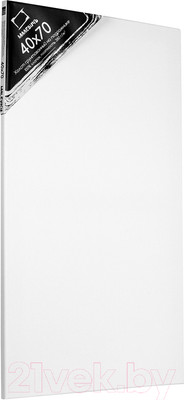 Холст для рисования Малевичъ На подрамнике / 214070 (40x70см, хлопок)