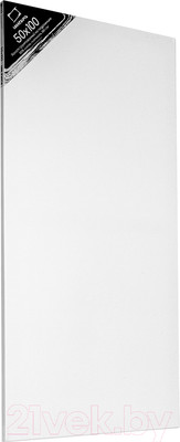 Холст для рисования Малевичъ На подрамнике / 215000 (50x100см, хлопок)