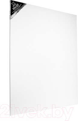 Холст для рисования Малевичъ На подрамнике / 211012 (100x120см, хлопок)