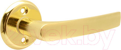Ручка дверная Avers H-0661-G (латунь)