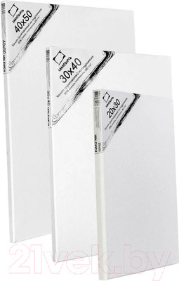 Набор холстов для рисования Малевичъ На подрамнике / 232033