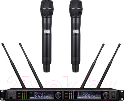 Радиосистема микрофонная Biema G-15