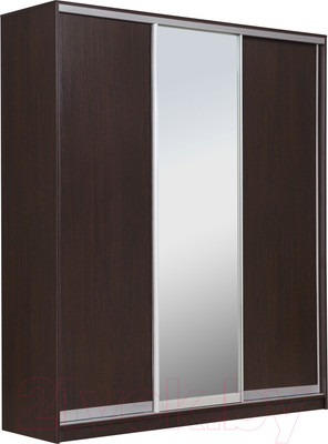 Шкаф-купе Рэйгрупп 233 VVX Elgon РГ-01.02 (венге/хром)