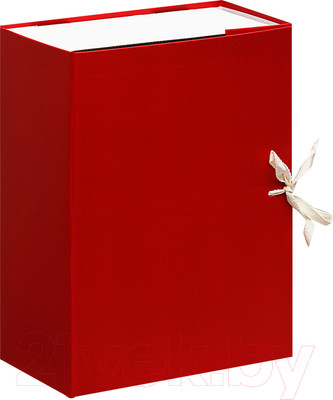 Коробка архивная OfficeSpace 284722 (красный)