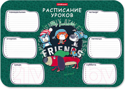 Расписание уроков Erich Krause Adventure Friends / 58305
