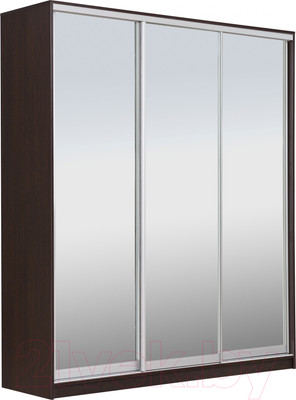 Шкаф-купе Рэйгрупп 176 VVX Elgon РГ-03.04 (венге/хром)