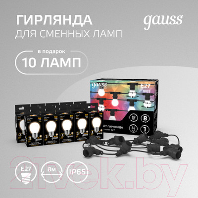 Садовая гирлянда Gauss Holiday HL070 (черный)