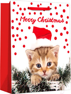 Пакет подарочный MONAMI GB22-5901