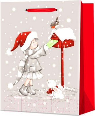 Пакет подарочный MONAMI GB22-6203