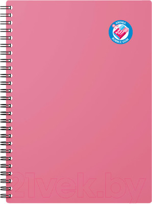 Тетрадь Erich Krause Bubble Gum / 58340 (80л, розовый)