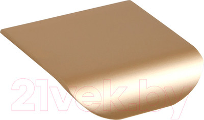 Ручка для мебели Boyard Al Monte RT110SG.1/16