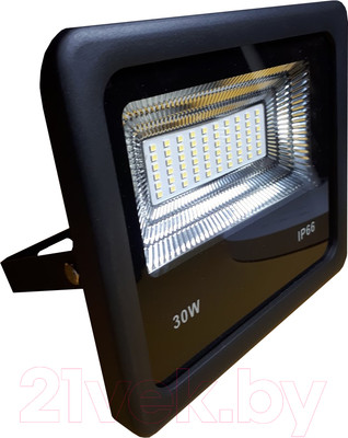 Прожектор Belsvet ДДУ 30W 002 SET108 / 42898