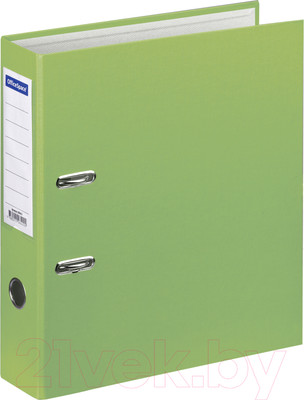 Папка-регистратор OfficeSpace 289633 (фисташковый)