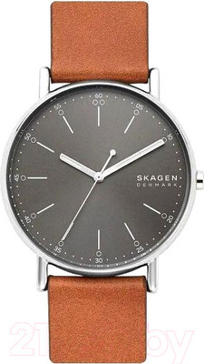 Часы наручные мужские Skagen SKW6578