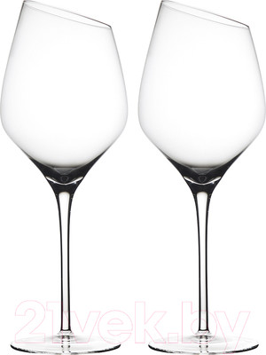 Набор бокалов Liberty Jones Geir / PS-LJ-GR-WWGLS490-2 (2шт)
