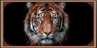 Набор настольных игр Partida Сирия Тигр средние. Нарды, шашки / rastiger50