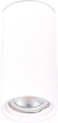 Потолочный светильник ST Luce ST155.502.01 (белый)