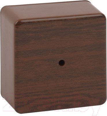 Коробка распределительная ЭРА BS-O-100-100-50 / Б0058709