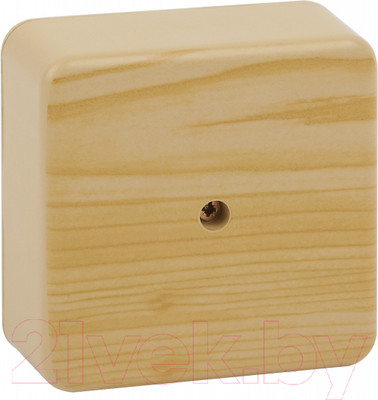 Коробка распределительная ЭРА BS-P-100-100-50 / Б0058708