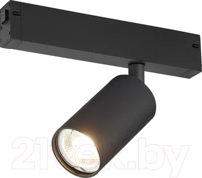 Трековый светильник ST Luce ST503.406.01