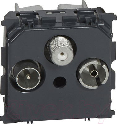 Розетка Legrand Celiane 67388