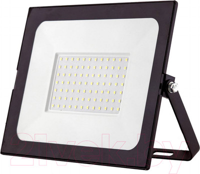 Прожектор Glanzen FAD-0010-100