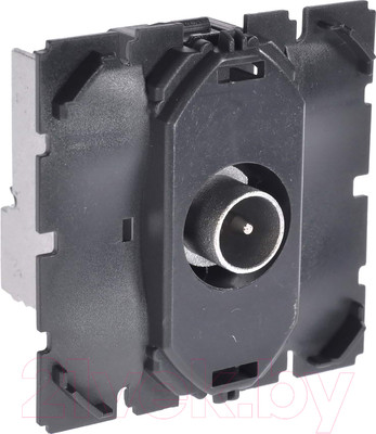 Розетка Legrand Celiane 67386