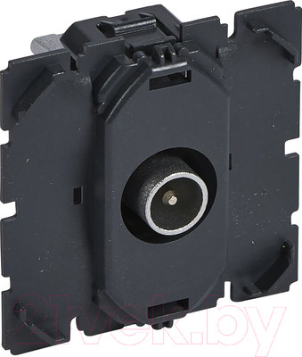 Розетка Legrand Celiane 67387