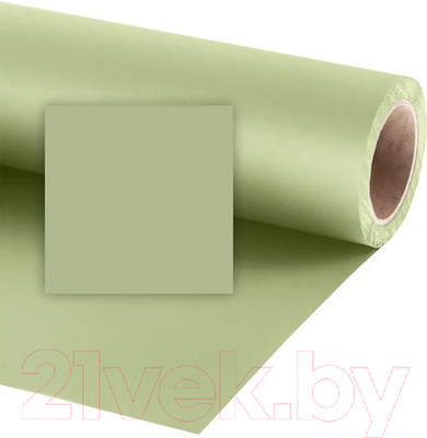 Фон бумажный RayLab 019 (2.72x11м, светло-зеленый)