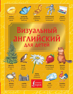 Книга АСТ Визуальный английский для детей