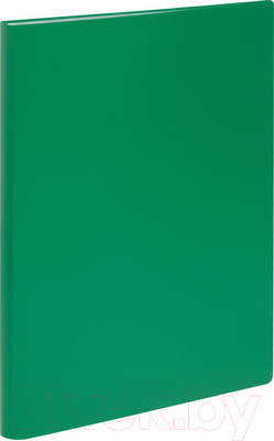 Папка для бумаг Стамм ММ-32210 (зеленый)