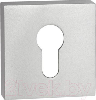 Накладка на цилиндр Ренц INET 03 SSC (супер сатин хром)