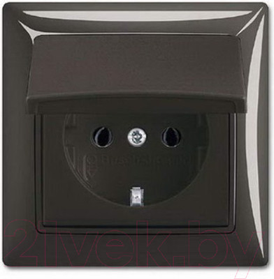 Розетка ABB Basic 55 2018-0-1502 (шато-черный)