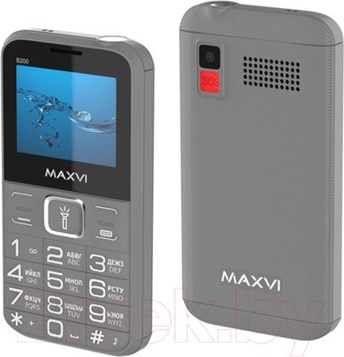 Мобильный телефон Maxvi B200 (серый+ЗУ)
