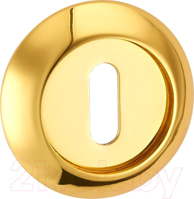 Накладка под сувальдный ключ Ренц INOB 08 GP (латунь блестящая)