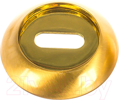 Накладка под сувальдный ключ Ренц INOB 08 SG/GP (латунь матовая/латунь блестящая)