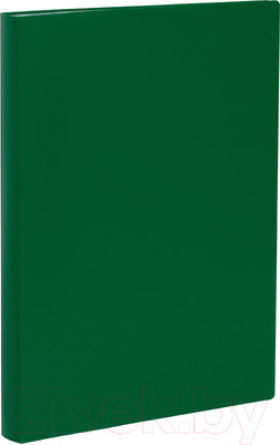 Папка для бумаг Стамм ММ-32268 (зеленый)