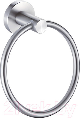 Кольцо для полотенца Haiba HB8304