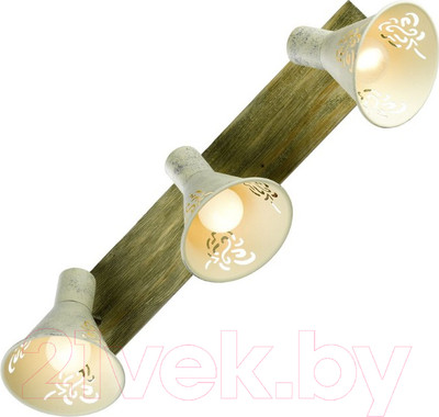 Спот Lussole LGO Mcconnico LSP-8059