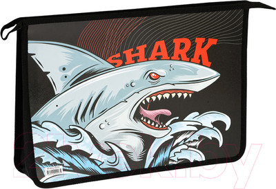 Папка для тетрадей ArtSpace Strong / ПТ-83-2_42223