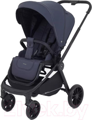 Детская прогулочная коляска Rant Energy Basic / RA096 (графитовый)